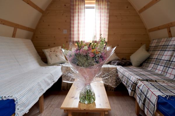Penbugle Organic Farm Wigwams