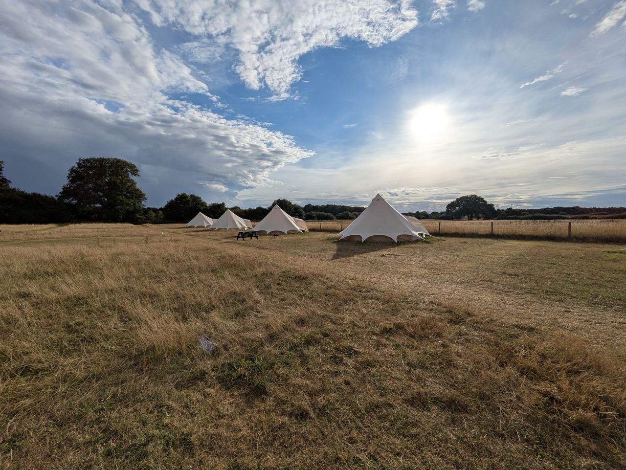 Pensthorpe Summer Camping and Glamping