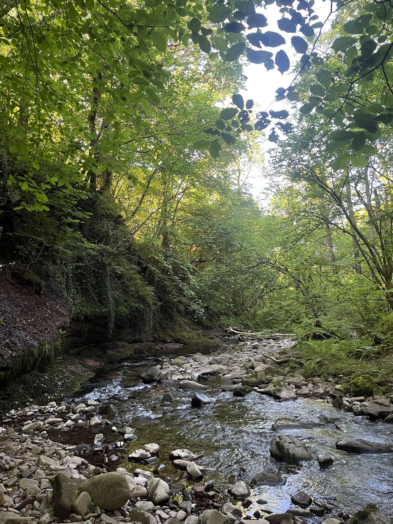 Pentwyn Caravan and Camping