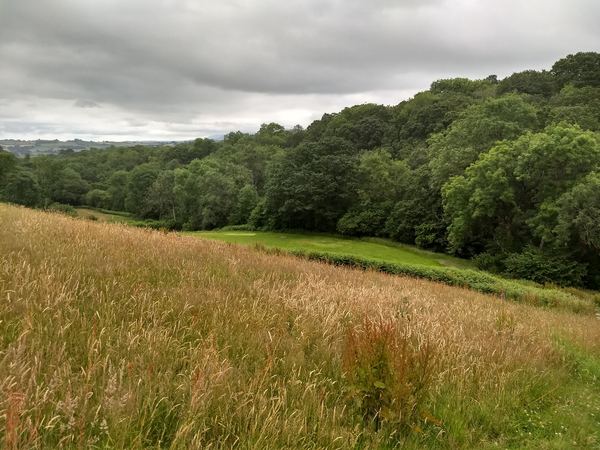 Pentwyn Caravan and Camping
