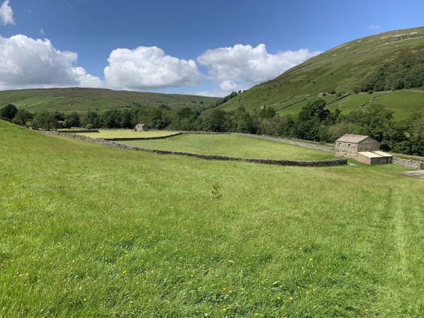 Pepper Hall Campsite