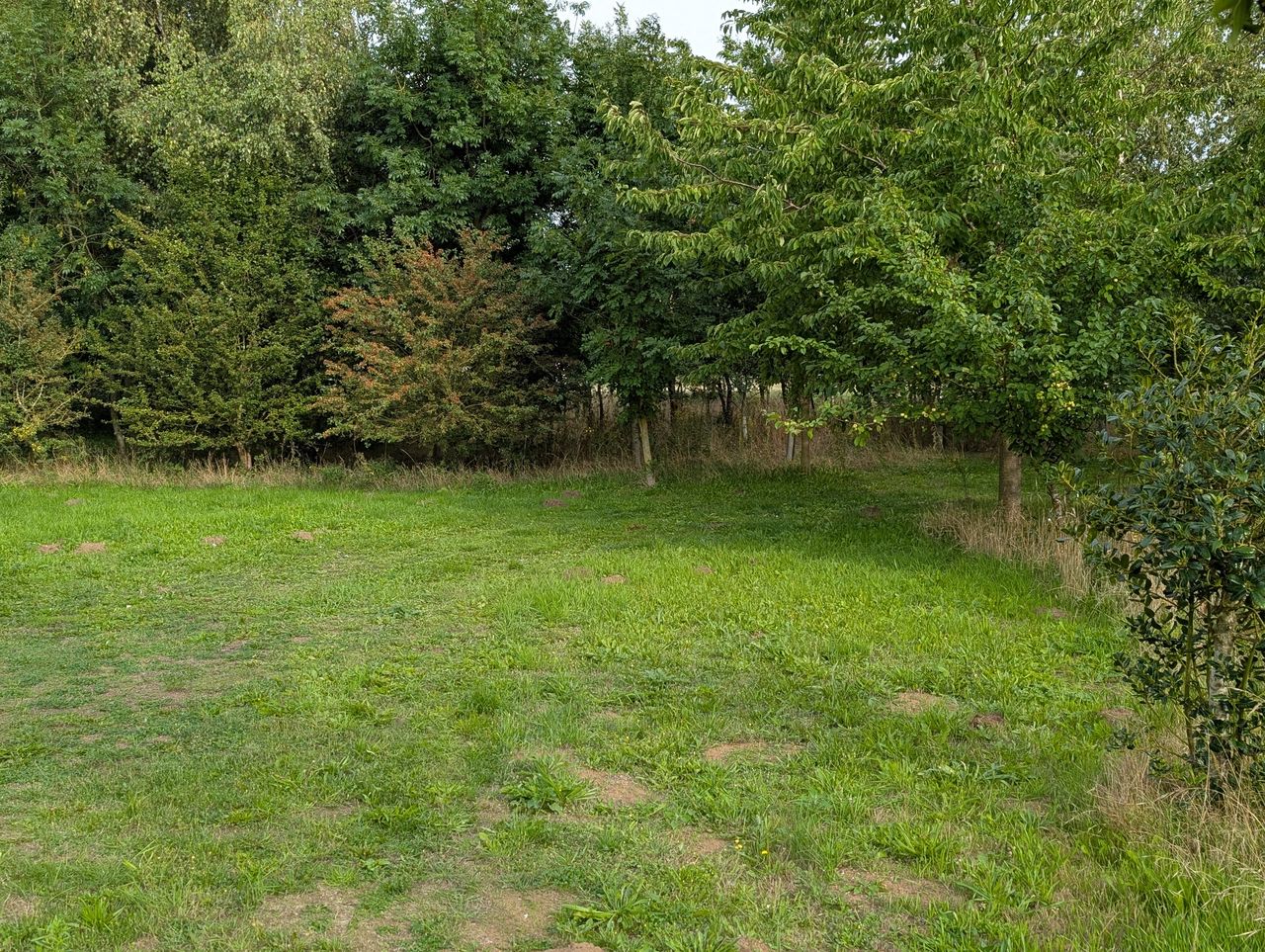 Phillips Farm