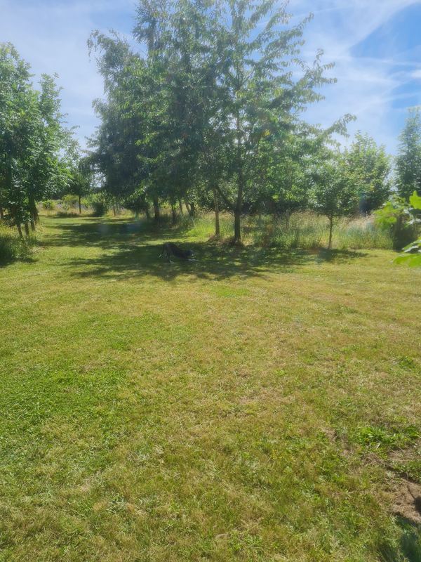 Phillips Farm