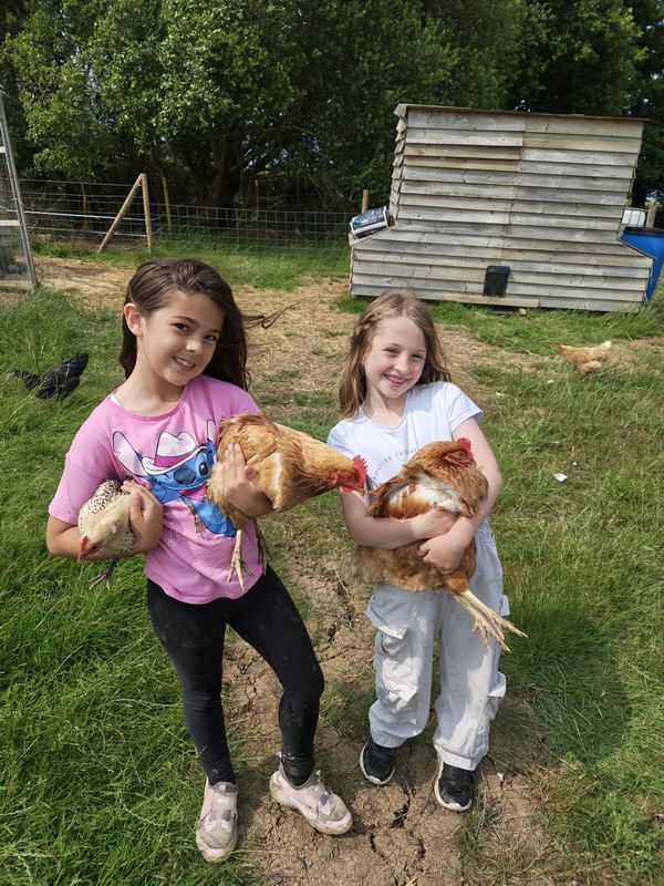 Pigsty Farm