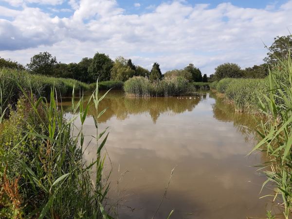 Pikes Oak Farm Fishing Lake And Caravan Site