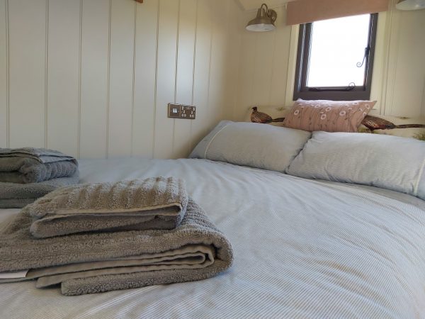 Pine Croft Shepherd's Huts