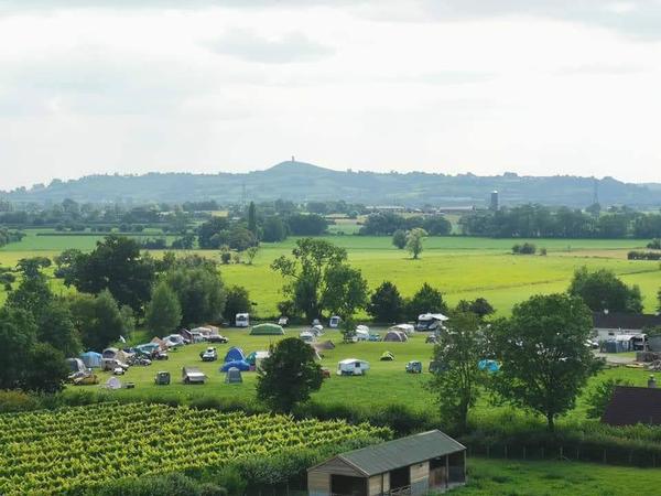 Pine Tree Farm Camping and Caravan Park