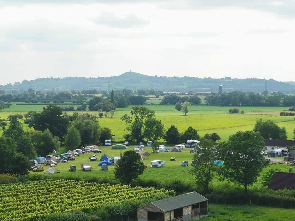 Pine Tree Farm Camping and Caravan Park