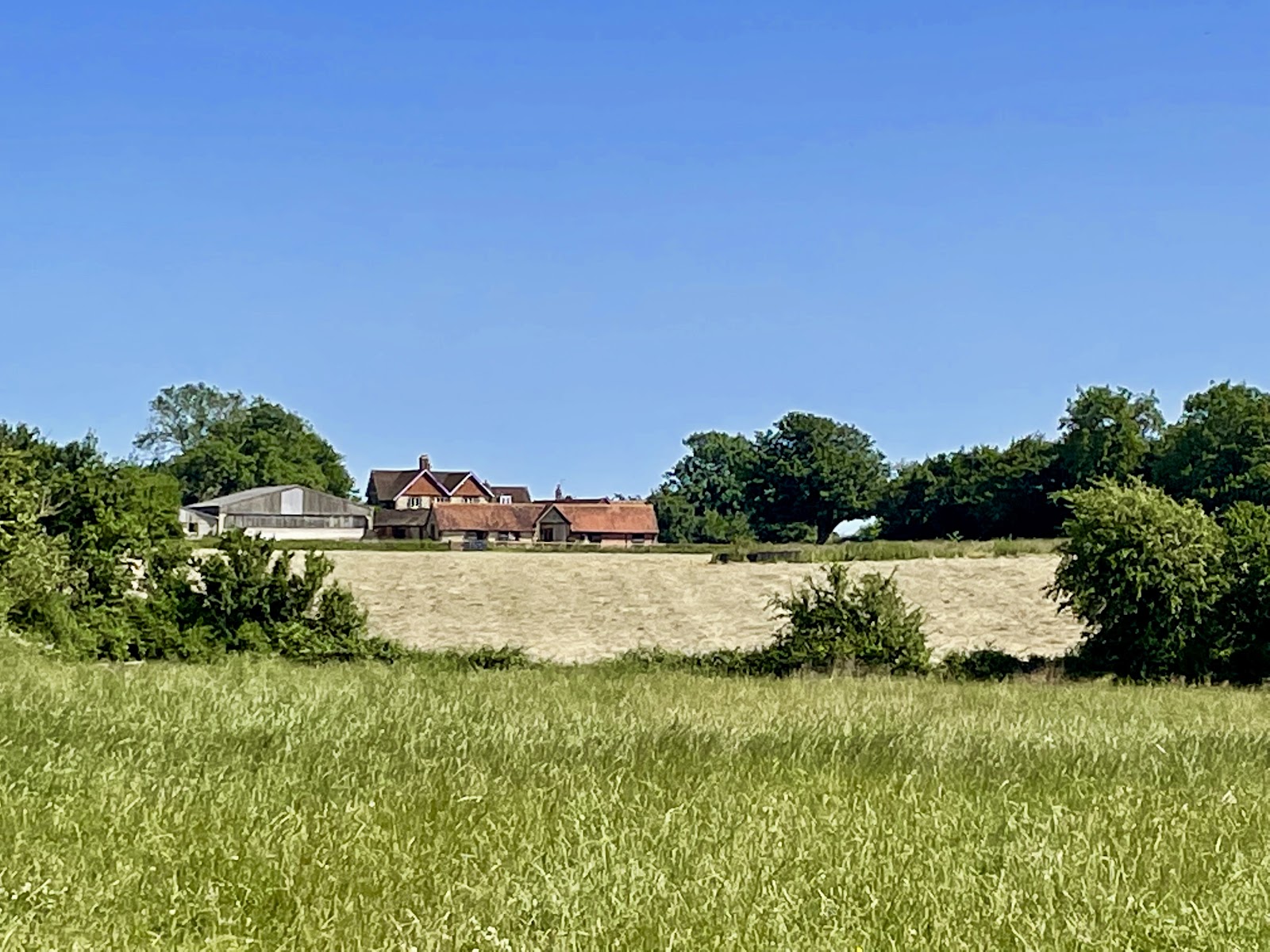 Pitchcott Farm
