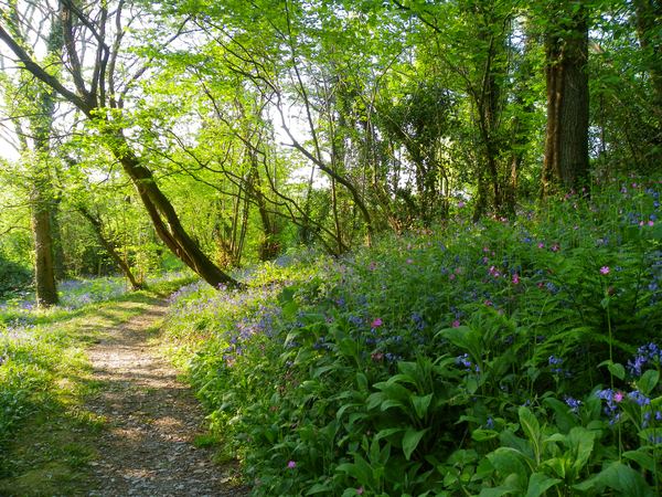 Plas Farm Caravan Park