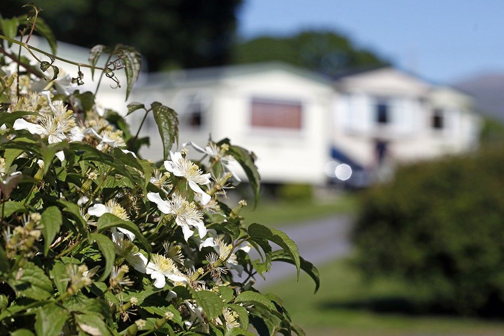 Plas Gwyn Caravan and Camping Park