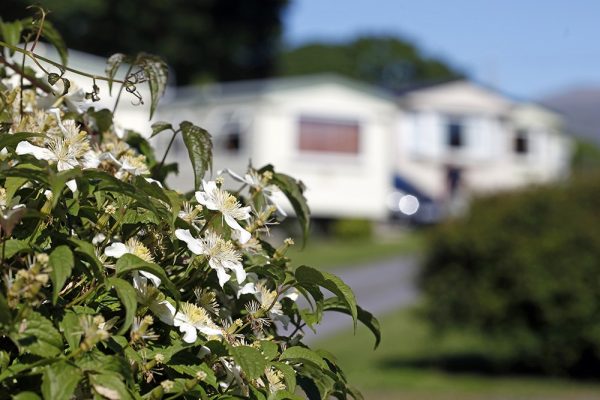 Plas Gwyn Caravan Park