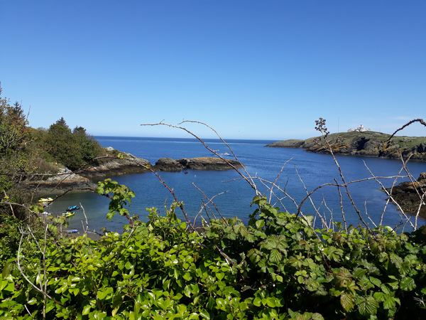 Point Lynas Caravan Park