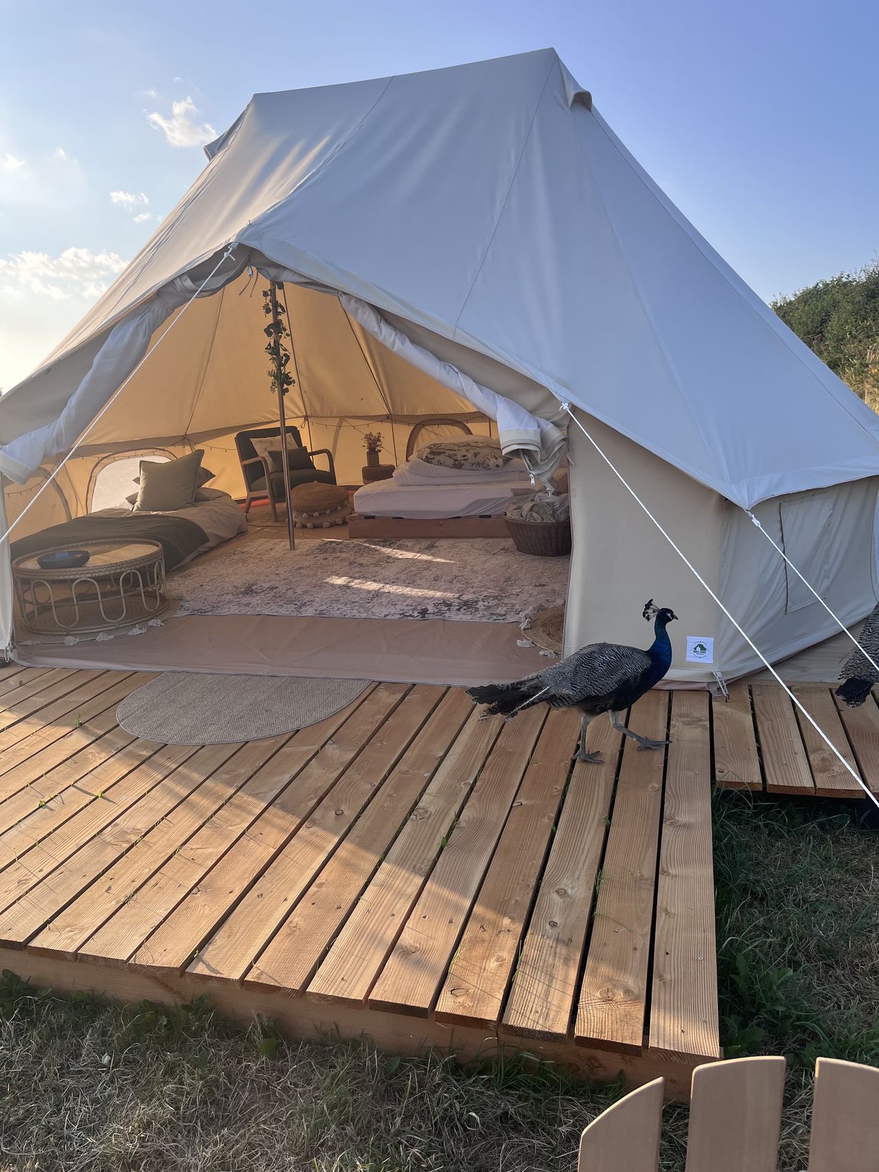 Pond and Pasture Glamping and Camping