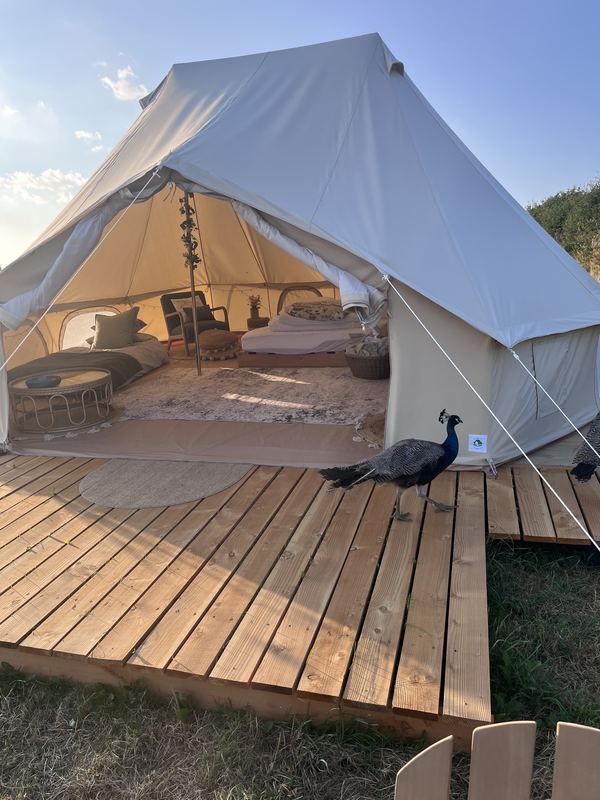 Pond and Pasture Glamping and Camping
