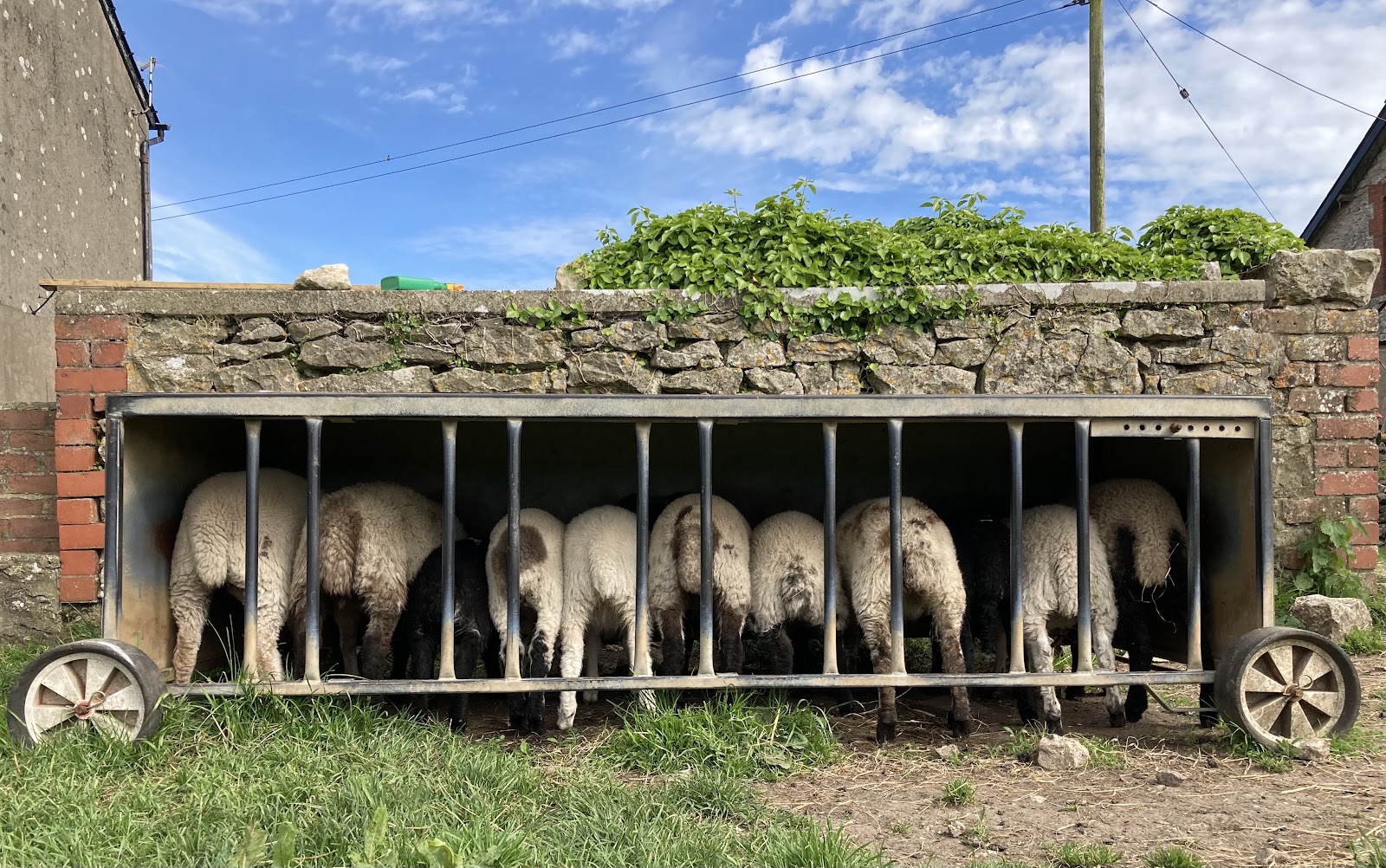 Pool Farm