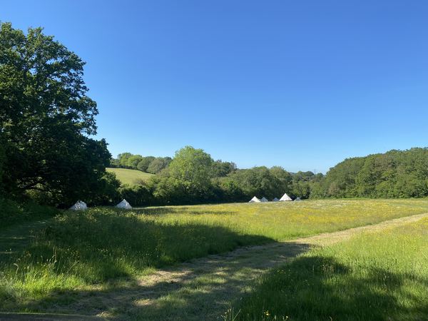 Pop-Up Woods and Meadows Campsite