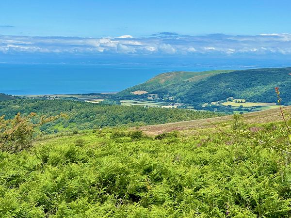 Porlock Bay View Campsite