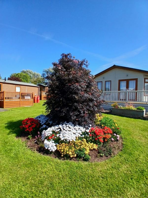 Porlock Caravan Park
