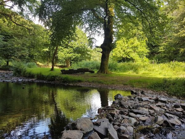 Porlock Weir Campsite