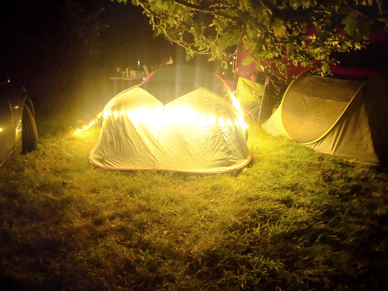 Primrose Fields Campsite