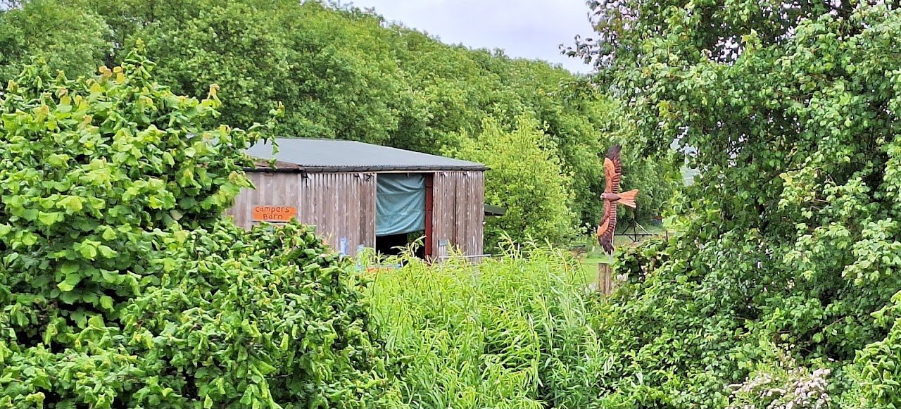 Pwllyn Farm Camping