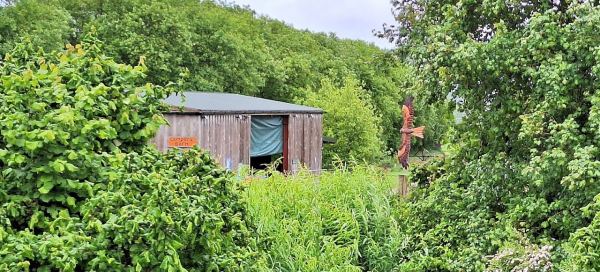 Pwllyn Farm Camping