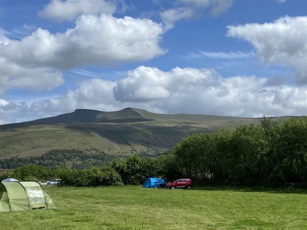 Pwllyn Farm Camping