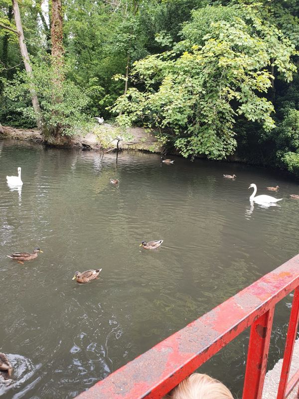 Radwell Lake Caravan Park