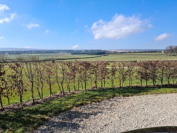 Ranah Stones Farm Campsite (Certificated Site)