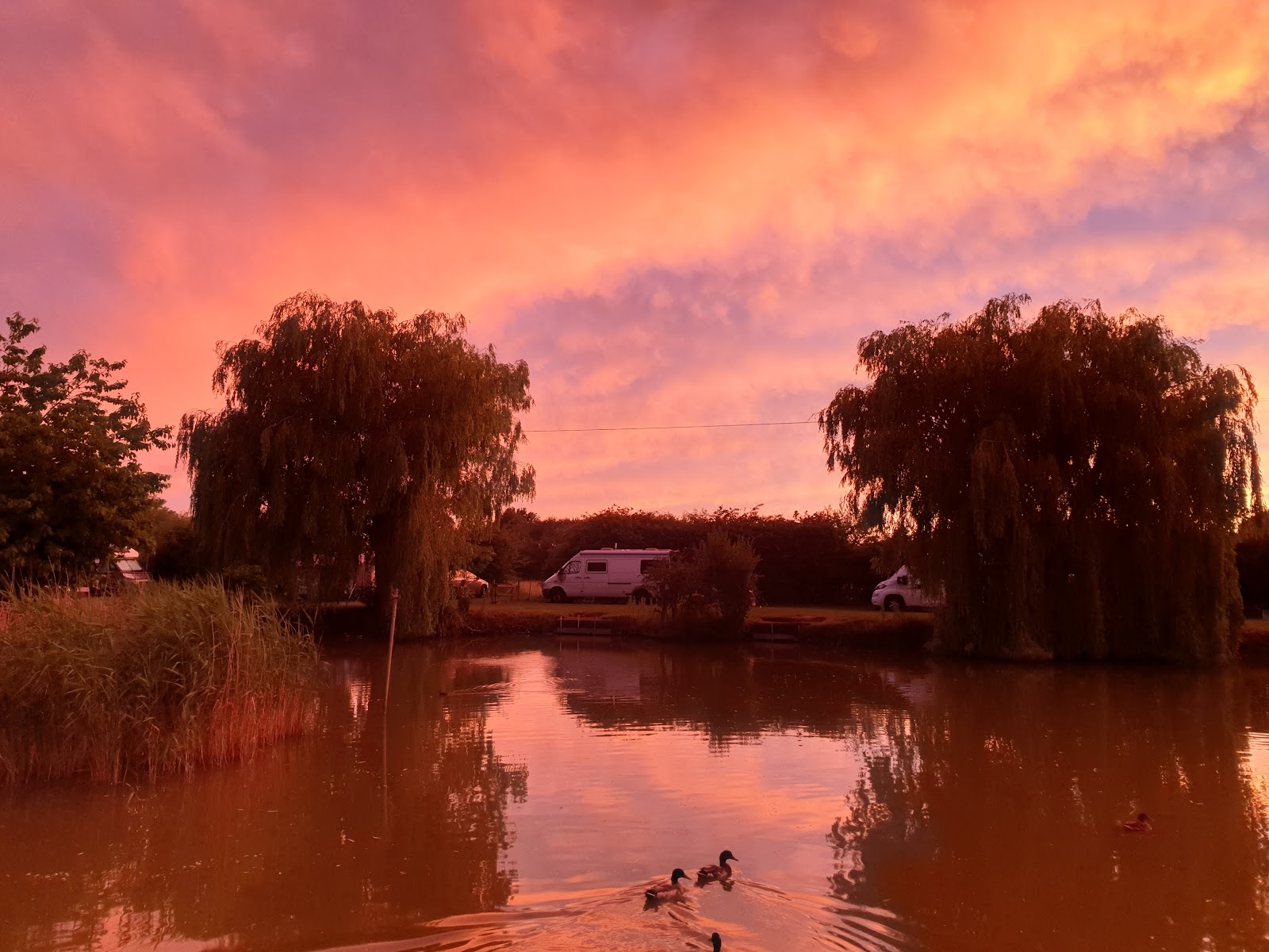 Rectory Farm Fishing and Camping Site
