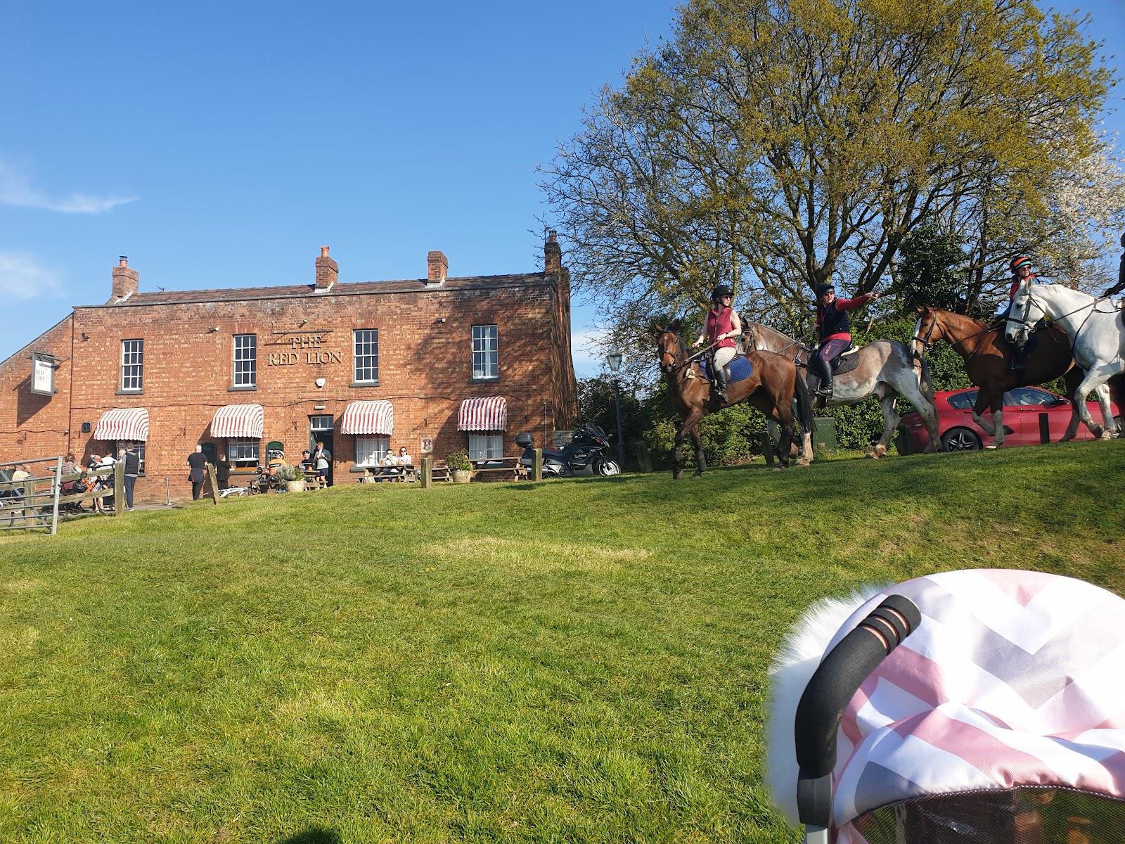 The Red Lion Inn Caravan and Camping Park