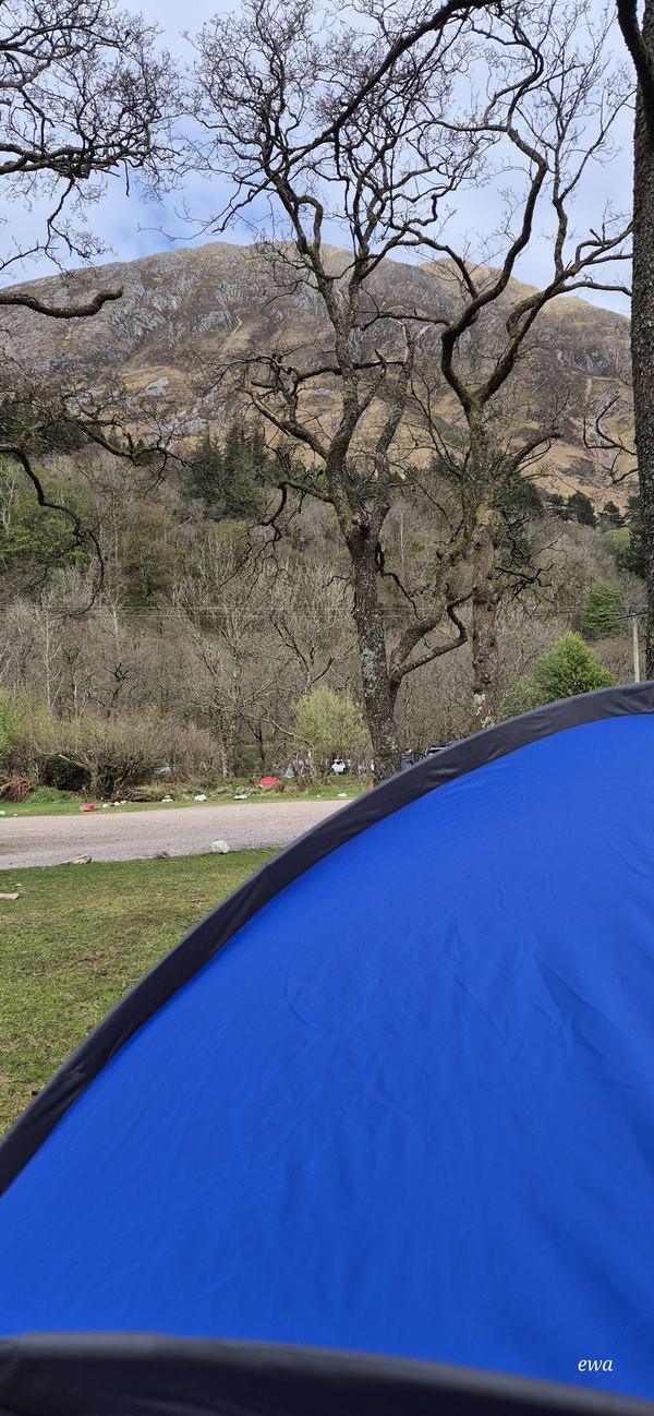 Red Squirrel Campsite