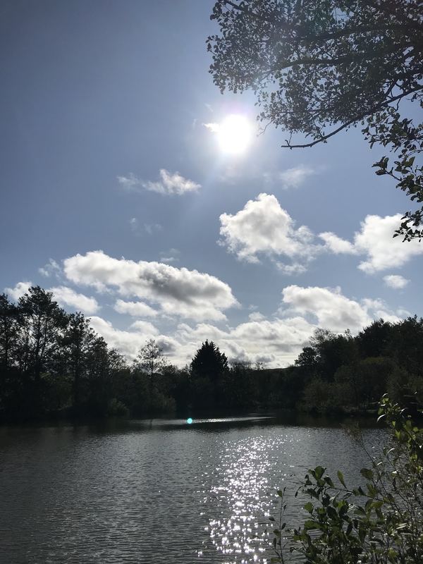 Redwell Fisheries