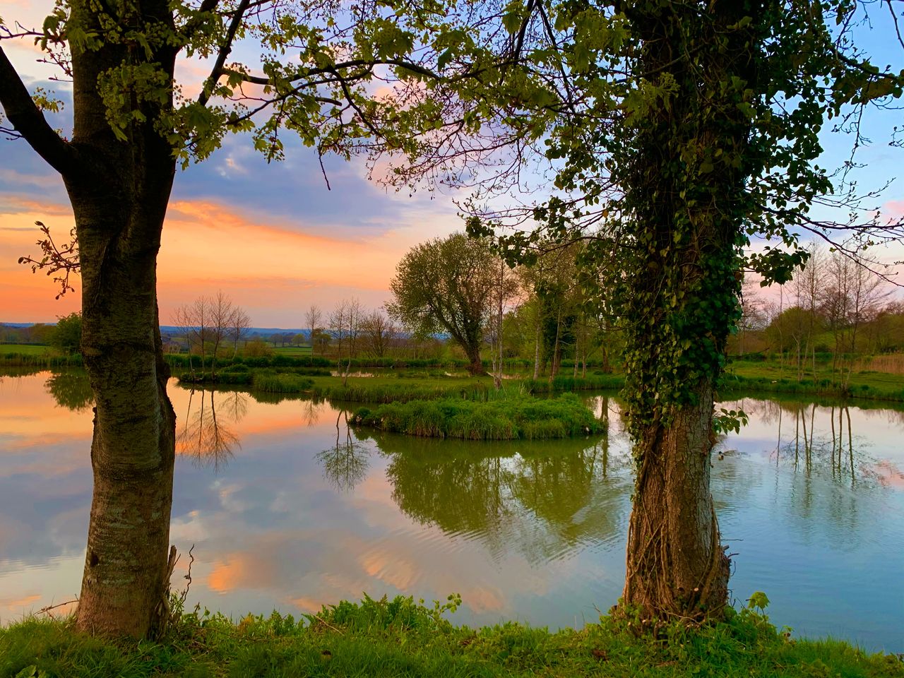 Revels Fishery