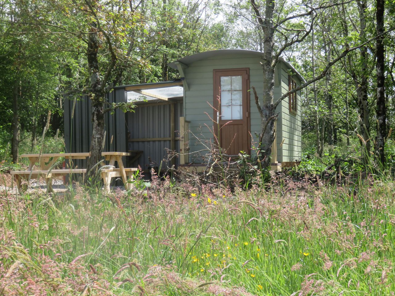 Rewilding Coombeshead