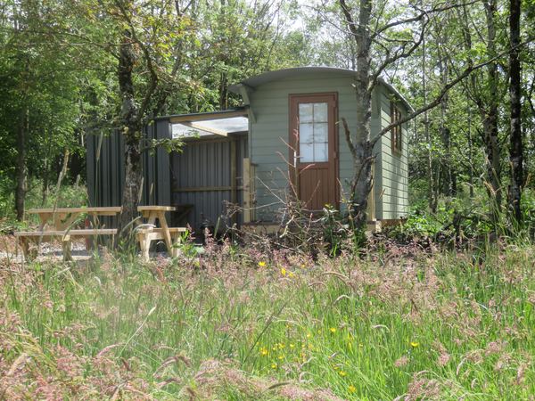Rewilding Coombeshead