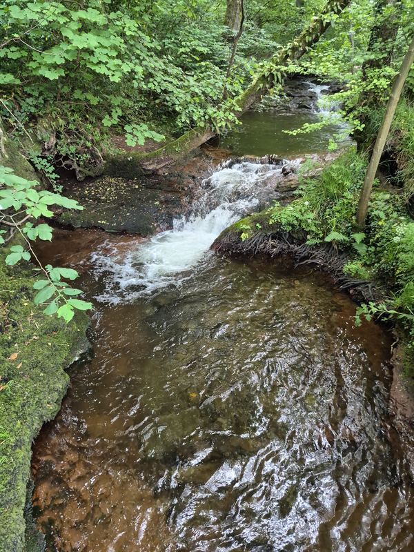 Rhydywernen Farm Camping Site