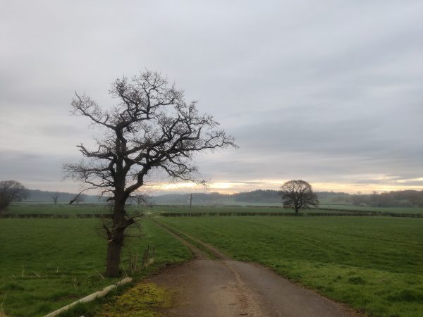 Ribble Valley Naturist Club