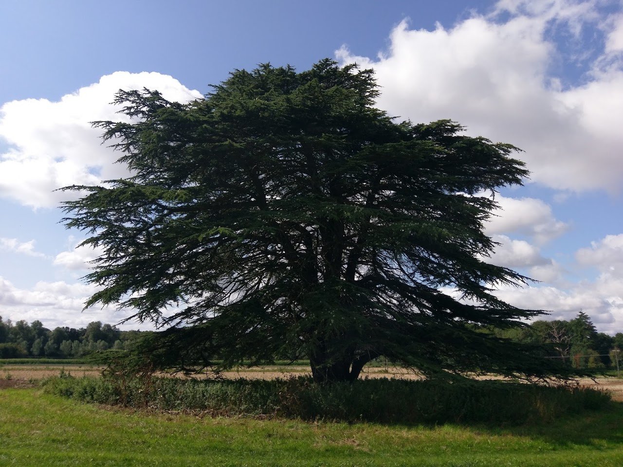 Riddlesworth Park