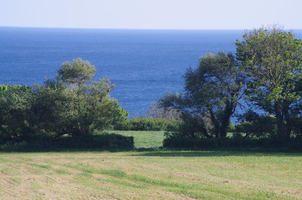 Ringstead Bay Camping