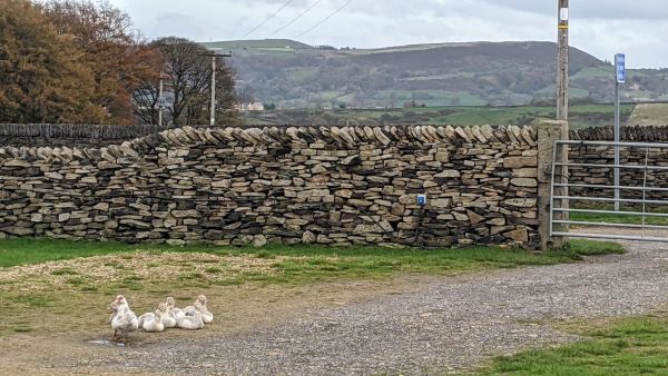 Rising Sun Farm Certificated Site