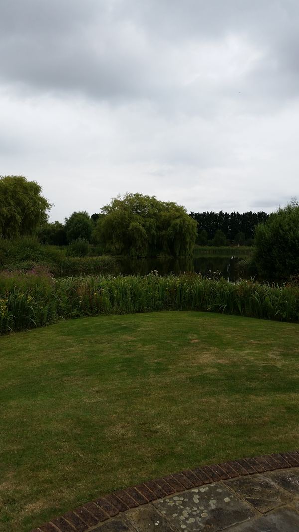 River Field