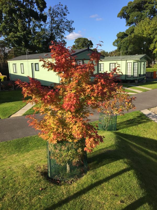 River Laver Holiday Park