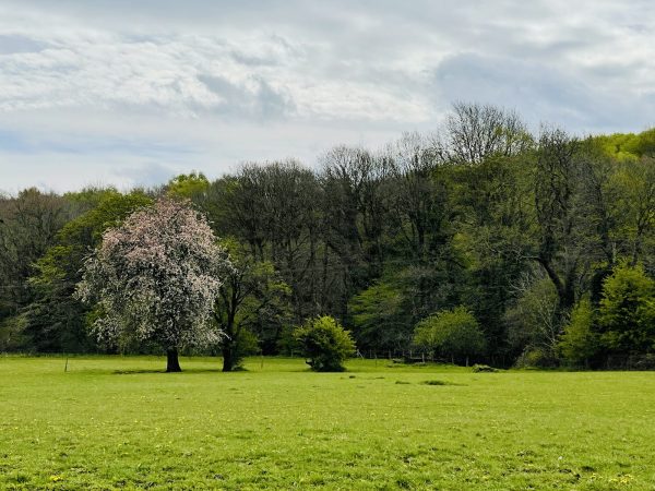 Riverside Valley Camping