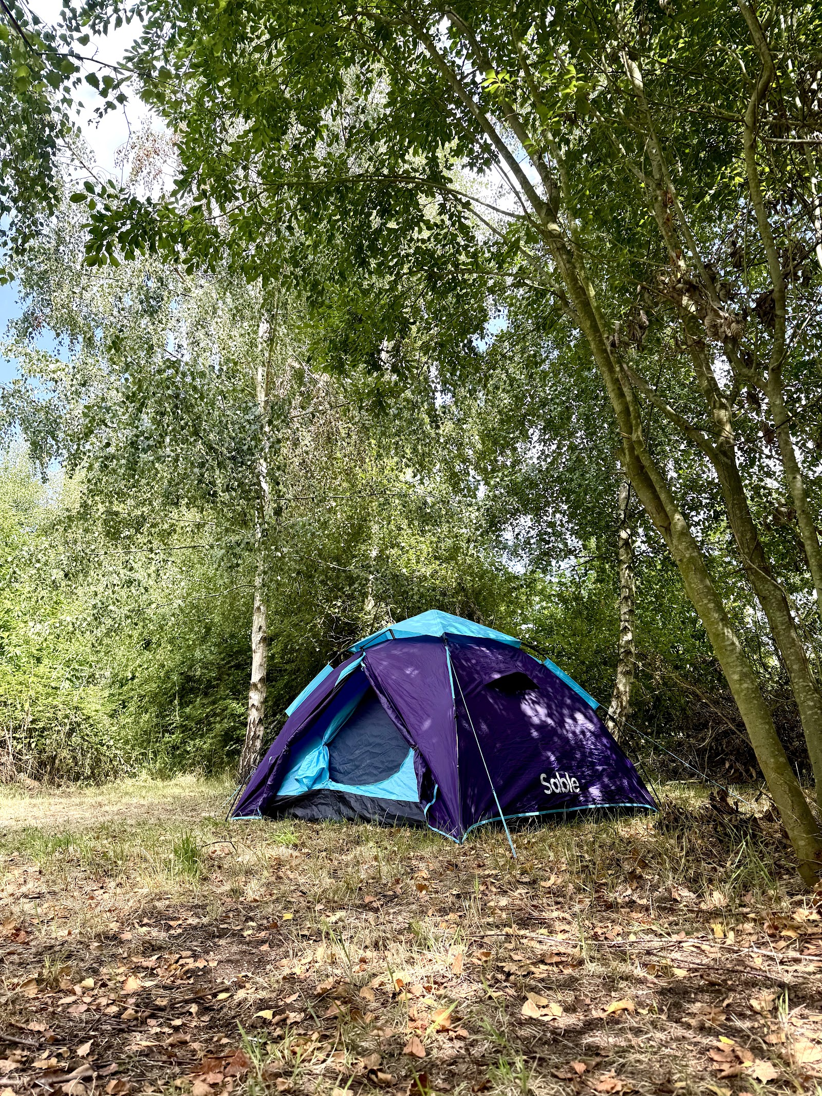 Rosehip Wood Campsite