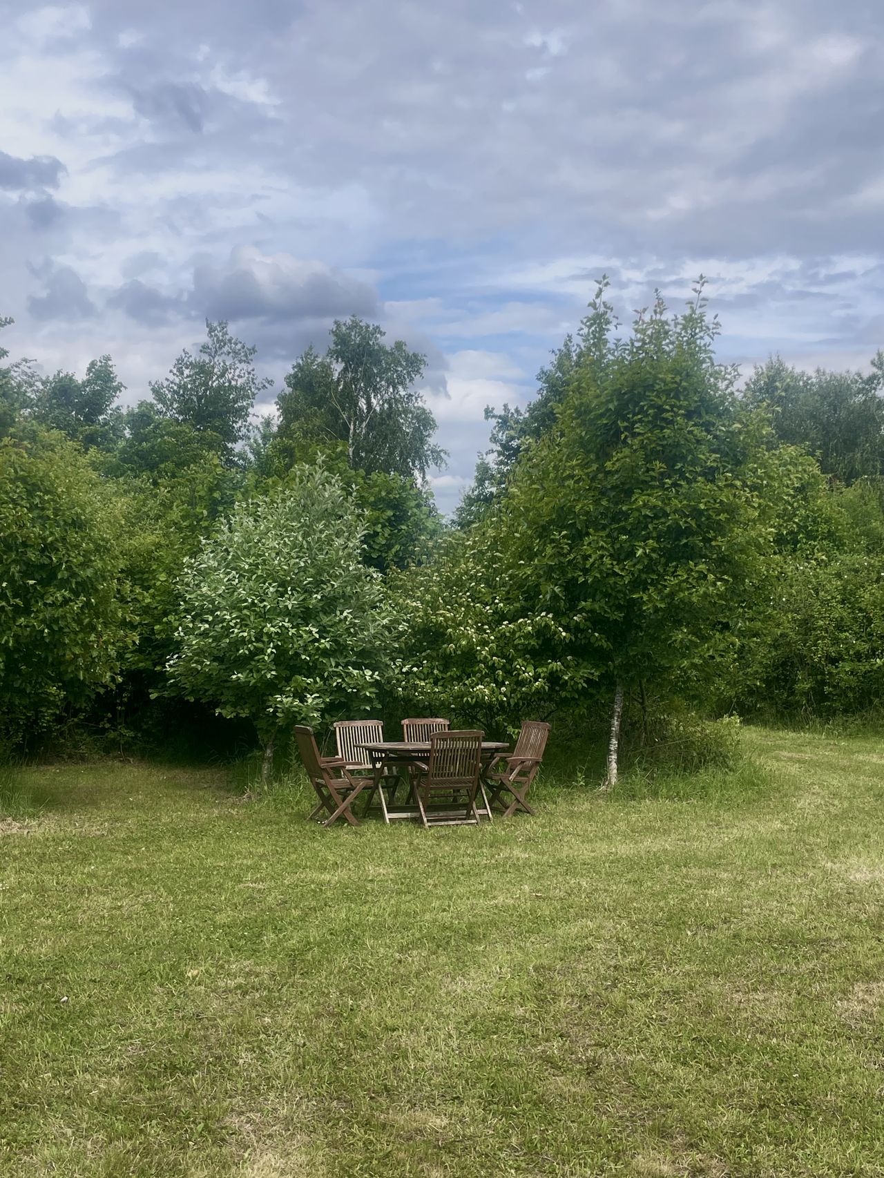 Rosehip Wood Wild Camping