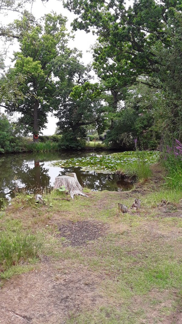Rosemarie Caravan Site