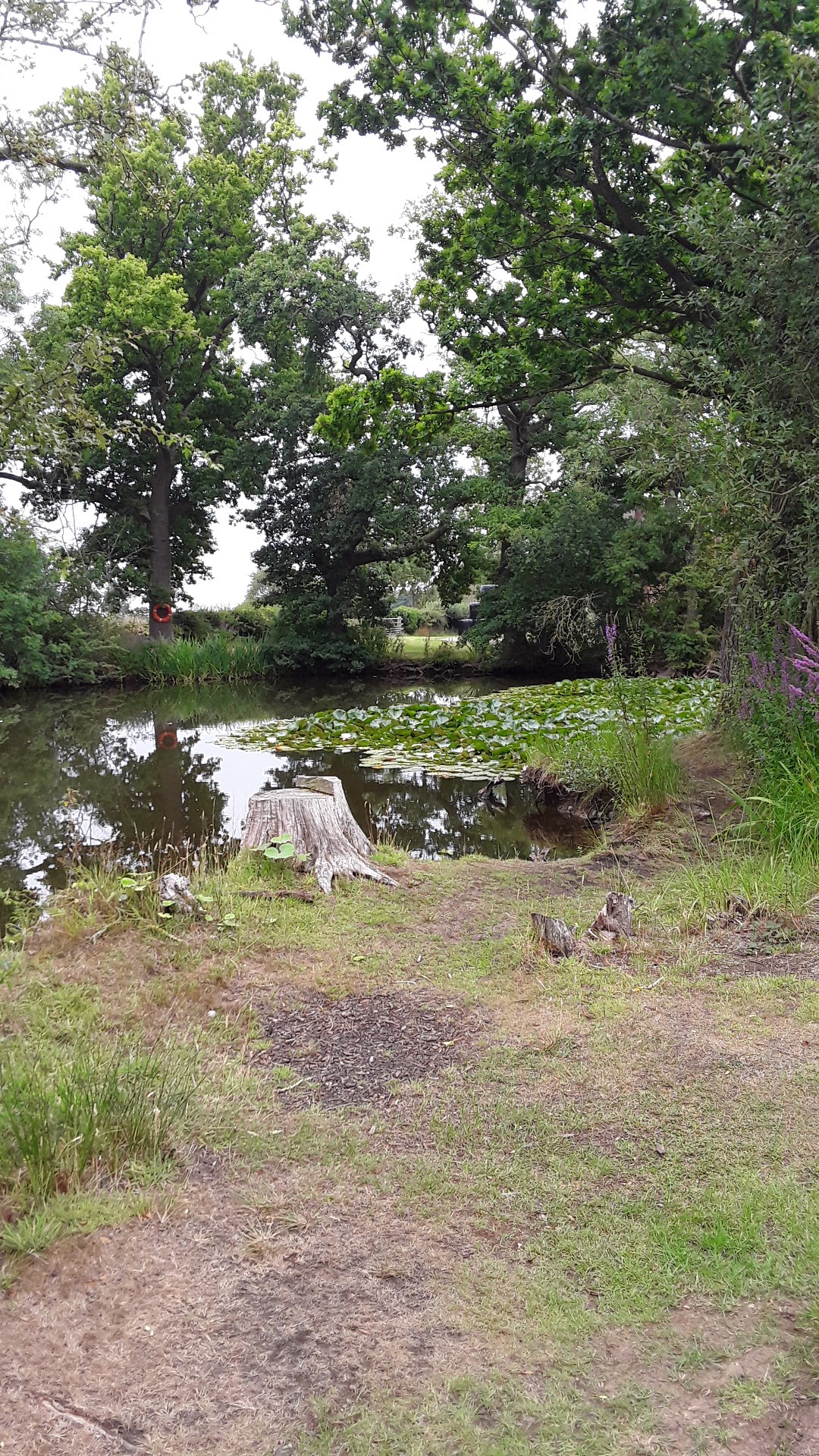 Rosemarie Caravan Site