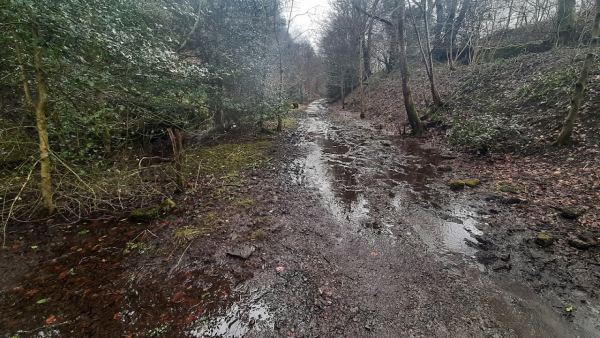Rough Hey Wood Campsite